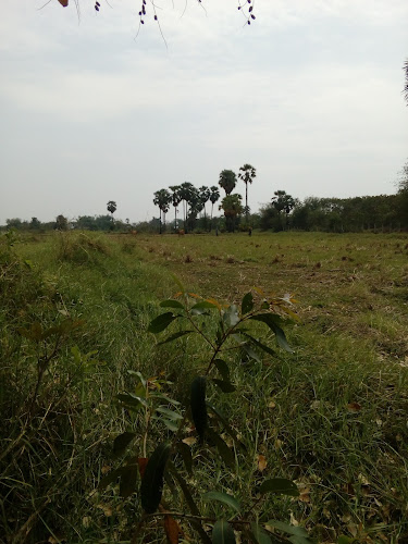 Opinii despre ร้านอาหารดาวสวนไผ่ în อำเภอเมืองนครราชสีมา - การบริการอาหารและที่พัก