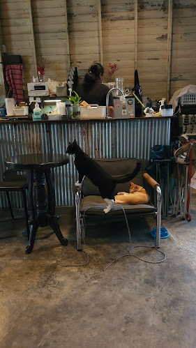 Comentarii opinii despre Hood