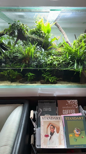 ไม้น้ำคาเฟ่ - กาแฟและต้นไม้น้ำ - อำเภอเมืองภูเก็ต