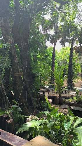 Pa Klang Mueang Café | ป่ากลางเมือง Café & Co-Working space - อำเภอเมืองขอนแก่น