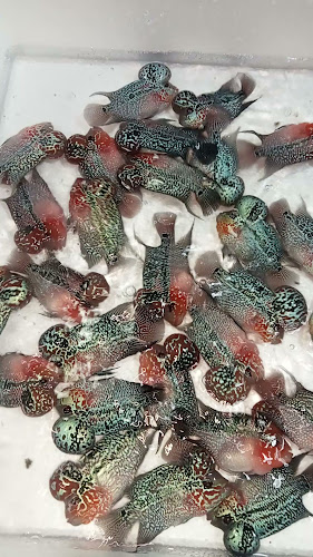 สวนหลวง ซอย 2 ตำบล สวนหลวง อำเภอกระทุ่มแบน สมุทรสาคร 74110