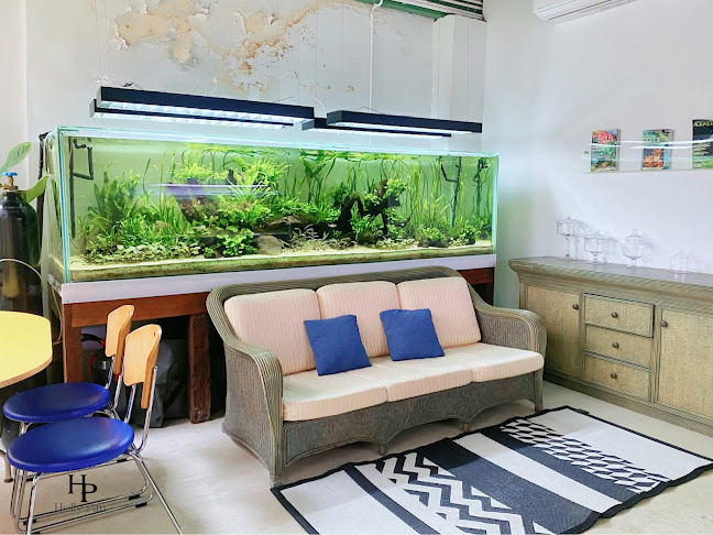 16 ถ. กระบี่ ตำบลตลาดเหนือ อำเภอเมืองภูเก็ต ภูเก็ต 83000