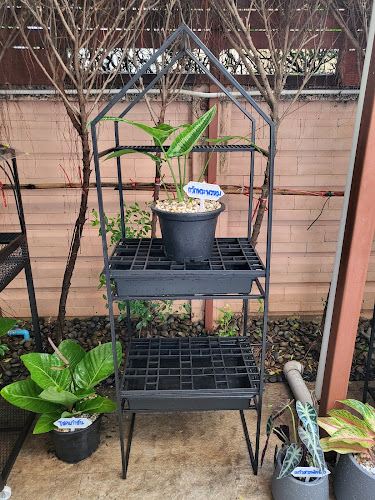 Make today a Happy day