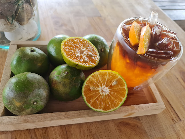 ท่าปลาคาเฟ่สันแกลบดำ - การบริการอาหารและที่พัก