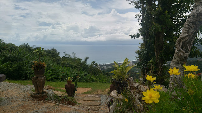 Comentarii opinii despre Thai Gallery Coffee Bar