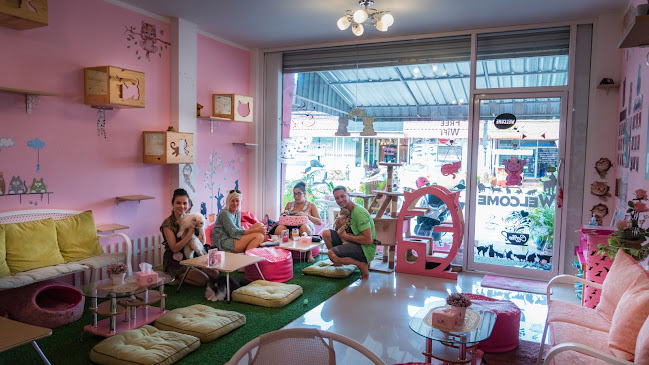 Opinii despre Neko Cat Cafe în Phuket - การบริการอาหารและที่พัก