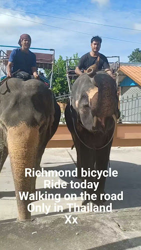 Opinii despre Richmond Sports Bar Guesthouse. în อำเภอบางละมุง - การบริการอาหารและที่พัก