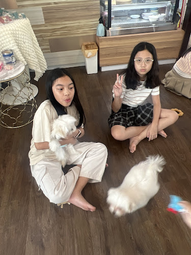 Lang Baan (หลังบ้าน) Dog Cafe & Pet Friendly