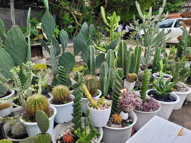 วันว่างว่างคาเฟ่ - อำเภอเมืองจันทบุรี