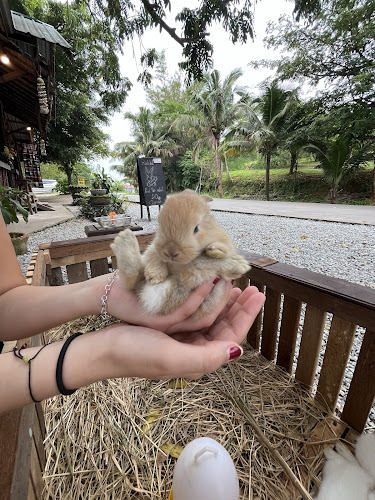 Thai Gallery Coffee Bar - การบริการอาหารและที่พัก