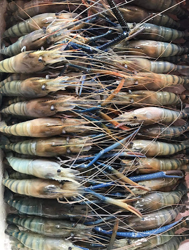 สินทรัพย์อาหารทะเล สาขาตลาดสถานีรถไฟ พิษณุโลก