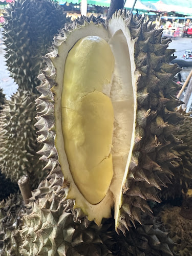 L67 ตลาดสุรนคร L66 ล็อค 3 L66,L67 อำเภอเมืองนครราชสีมา นครราชสีมา 30000