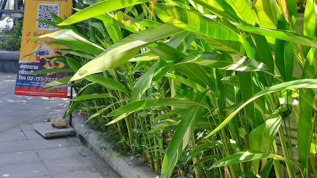 Café Amazon ปตท. อ้อมน้อย - การบริการอาหารและที่พัก