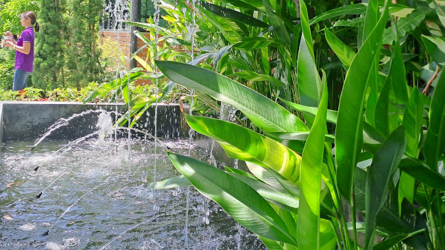 Café Amazon ปตท. อ้อมน้อย - อำเภอกระทุ่มแบน