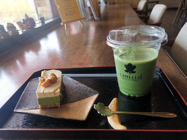 Camellia Matcha Space