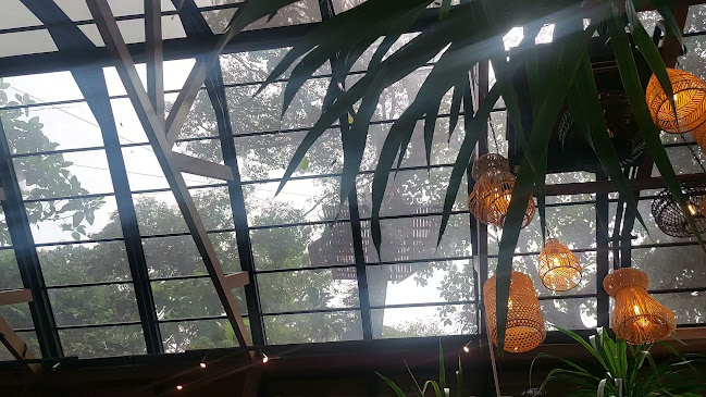 อาคารทรีมังกี้ส์ 105 หมู่ที่ 4 ถนนเหมืองเจ้าฟ้า ตำบล วิชิต อำเภอเมืองภูเก็ต ภูเก็ต 83000