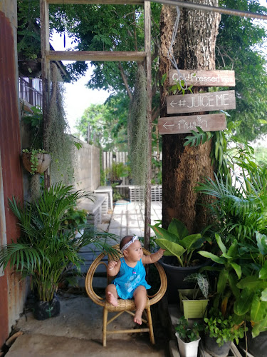 Comentarii opinii despre Juice Me