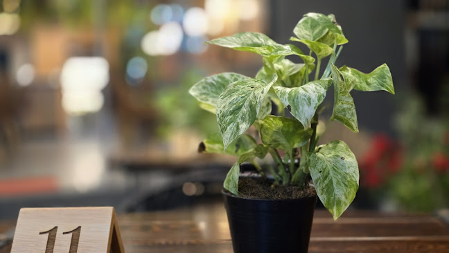 Burger Saloon - อำเภอกะทู้