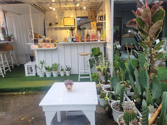 วันว่างว่างคาเฟ่ - การบริการอาหารและที่พัก