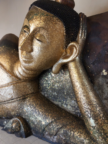 Coffee ป่าประดู่กาแฟสด - การบริการอาหารและที่พัก