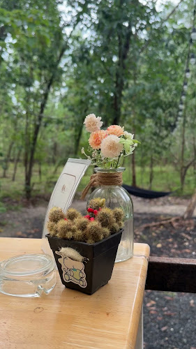 Woodland Cafe' Restaurant & Bar Phuket - อำเภอถลาง