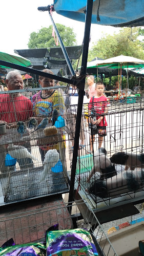 ตลาดประชารัฐ ค่ายจิรประวัติ - การบริการอาหารและที่พัก