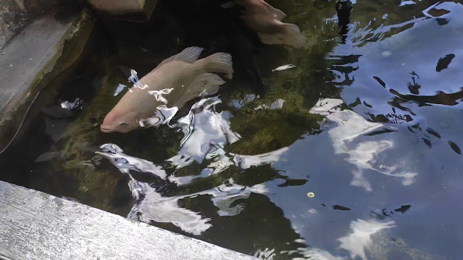 Thai smile 2 Restaurant