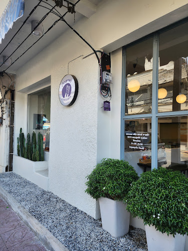 Good Grill - Steak Salad Pasta