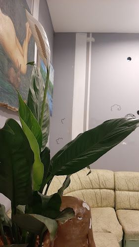 เสพศิลป์ กลิ่นกาแฟ AH2, แม่กา อำเภอเมืองพะเยา พะเยา 56000