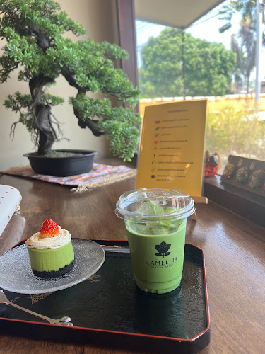 Comentarii opinii despre Camellia Matcha Space