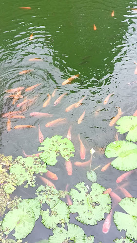 Opinii despre Sea Sky Cafe' în อำเภอกะทู้ - การบริการอาหารและที่พัก