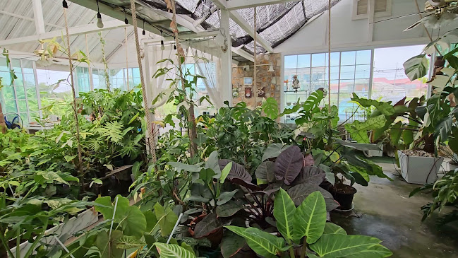 Ma Cheminee tree & coffee house