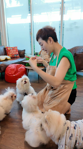 ถนนเลี่ยงเมืองปากเกร็ด ตำบลบางตลาด อำเภอปากเกร็ด นนทบุรี 11120