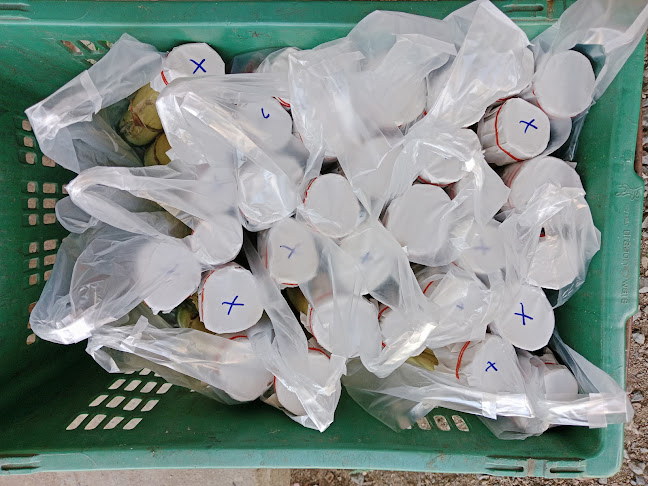 หน้าสถานีตำรวจภูธรหนองปลิง ตำบล หนองปลิง อำเภอเมืองนครสวรรค์ นครสวรรค์ 60000