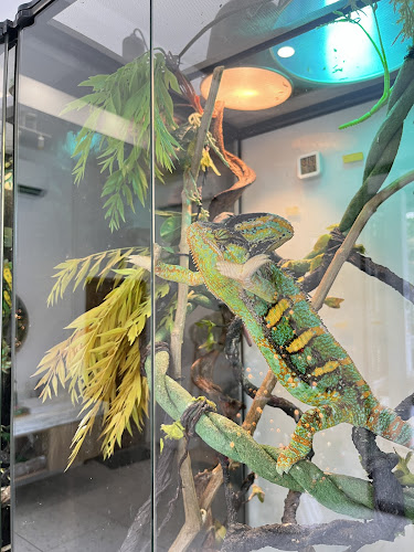 ถ. เจ้าฟ้าตะวันตก ตำบล ฉลอง Mueng, ภูเก็ต 83130