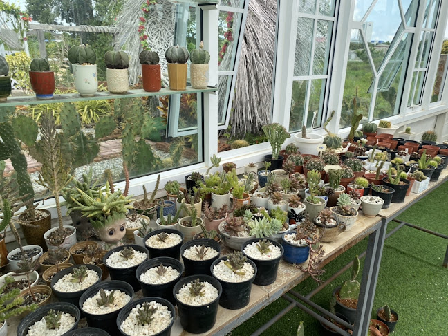 Opinii despre Ma Cheminee tree & coffee house în อำเภอบางละมุง - การบริการอาหารและที่พัก