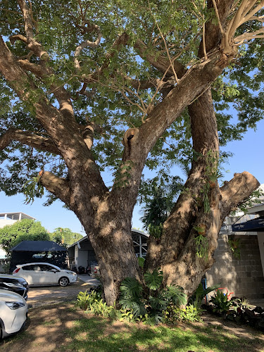 Comentarii opinii despre Coffee Farm Rayong