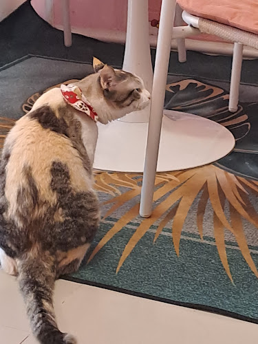 39, 57 ซอย ไสยวน ตำบล ราไวย์ Phuket, ภูเก็ต 83130