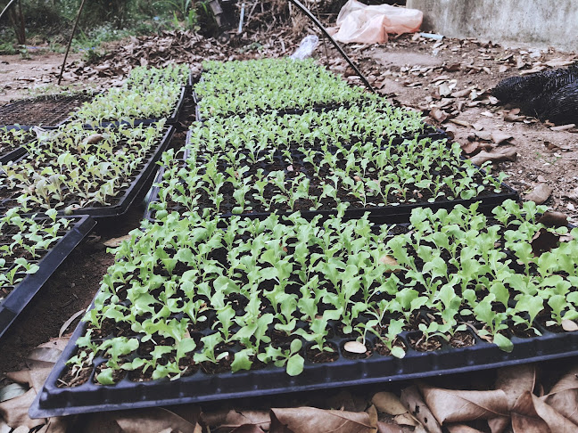 Comentarii opinii despre รักนะสุขภาพ (ดอกส้ม)