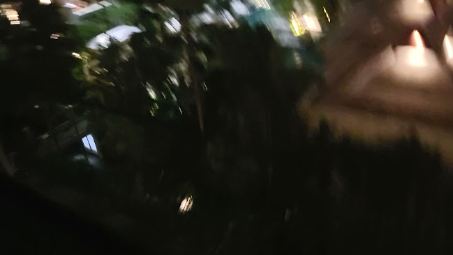 Comentarii opinii despre Pinto Restaurant