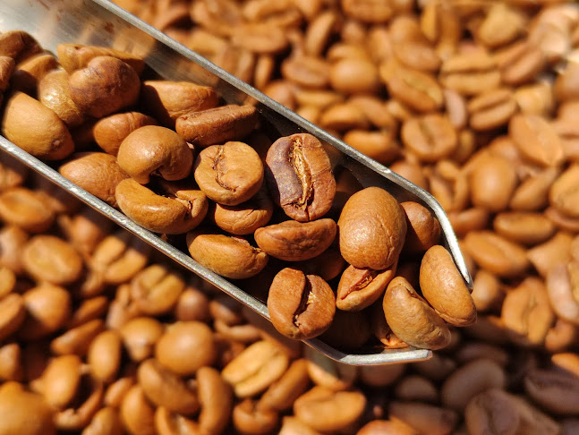 AREA 27 - การบริการอาหารและที่พัก