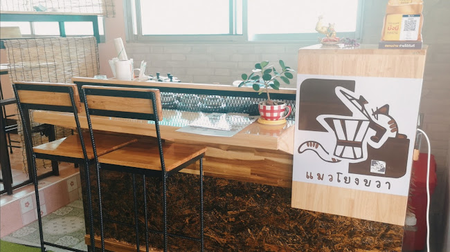 แมวโยงขวา Slow Bar and Board Game - การบริการอาหารและที่พัก