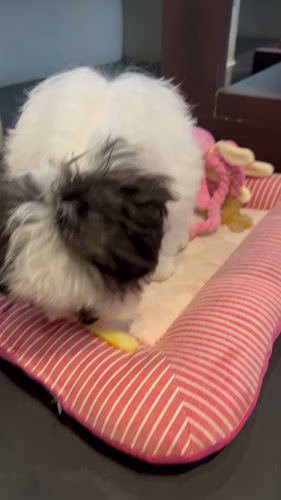 Opinii despre Dreamilycoffeebar în อำเภอถลาง - การบริการอาหารและที่พัก