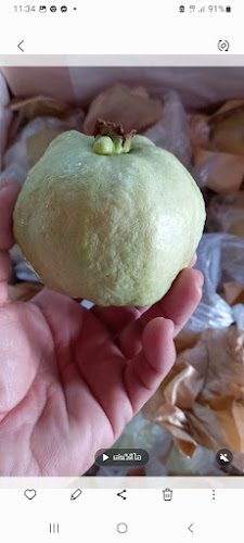 Comentarii opinii despre ร้านเจ๊เอ๋88ฝรั่งกิมจูนครสวรรค์