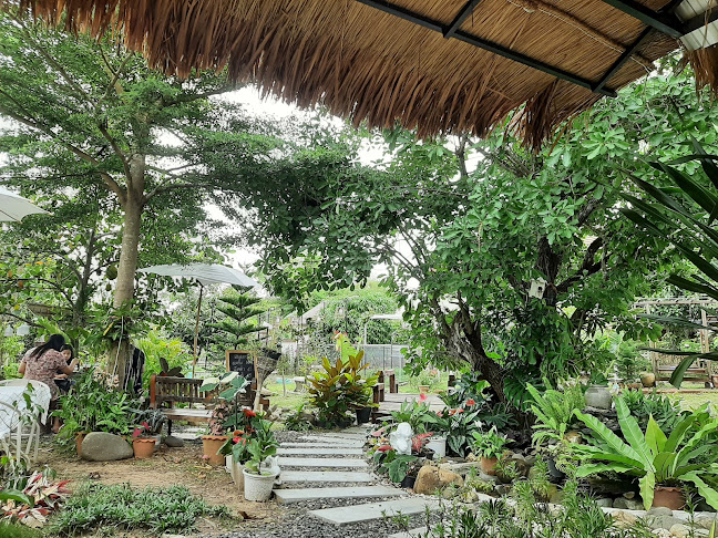 สลัดบ้านสวน&coffee - อำเภอเมืองเพชรบูรณ์