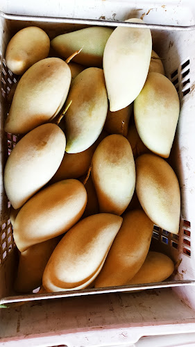 ทางหลวงชนบท ตำบลดอนทอง อำเภอเมืองพิษณุโลก พิษณุโลก 65000