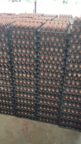 หจก.เอกธนัชไข่ฟาร์ม