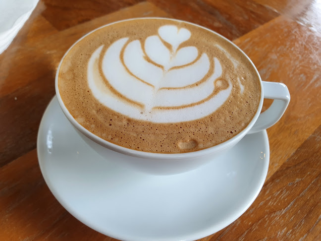 เรนฟอร์เรสคาเฟ่ พัทยา - การบริการอาหารและที่พัก