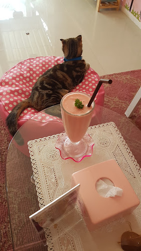 Neko Cat Cafe - การบริการอาหารและที่พัก