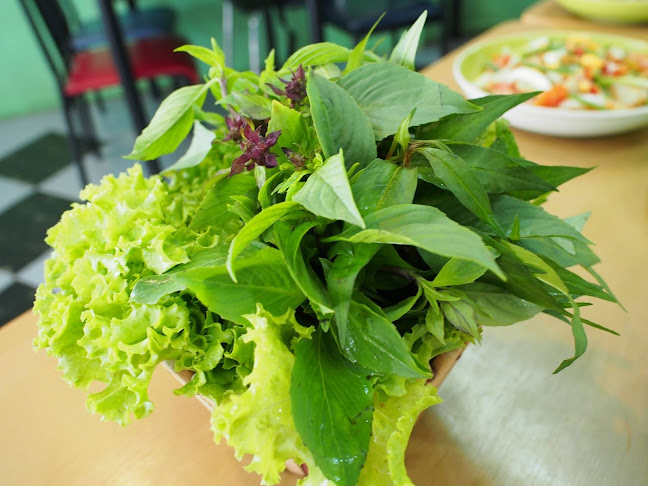 Comentarii opinii despre ร้านอาหาร ขอนแก่น แหนมเนือง อาหารเวียดนาม ครัวเวียดนาม สาขา จังหวัดขอนแก่น กม.0